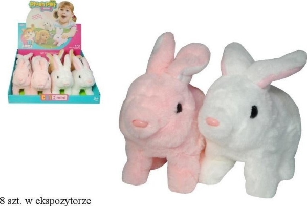 Kaninchen Bewegt Kopf, Wangen, Schwanz Mix