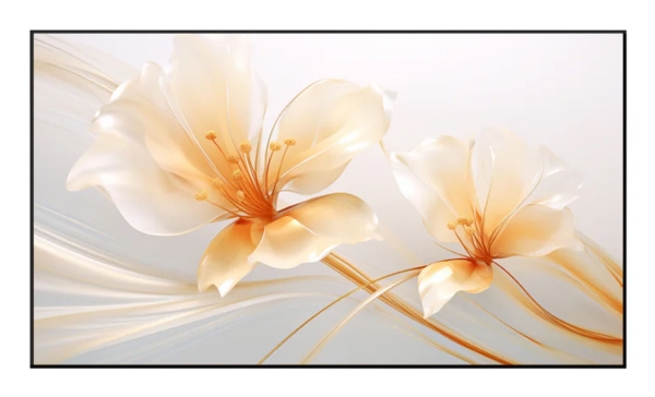 XGIMI P165S, 2,54 m (100), 2,21 m, 124,5 cm