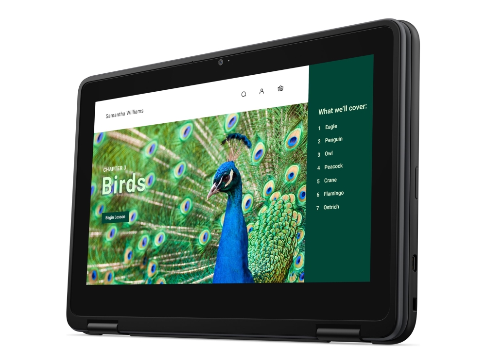 Dell Chromebook 3120 2024 Intel N Series N100 / Upp Till 3.4 Ghz Chrome Os Uhd Graphics 8 Gb Ram 64 Gb Emmc 11.6  " Tn 1366 X 768 Hd