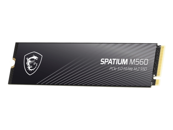 Msi Spatium M560 Pcie 5.0 Nvme M.2 2 Gb M.2