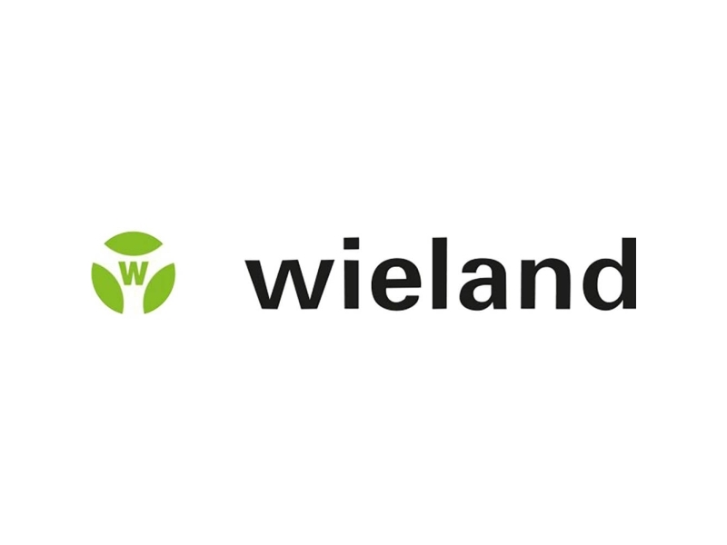 Wieland Electric 46.031.4551.4 Rundstik Kobling, lige Samlet poltal: 2 Serie (rundstikforbindelse): RST® MINI 1 stk
