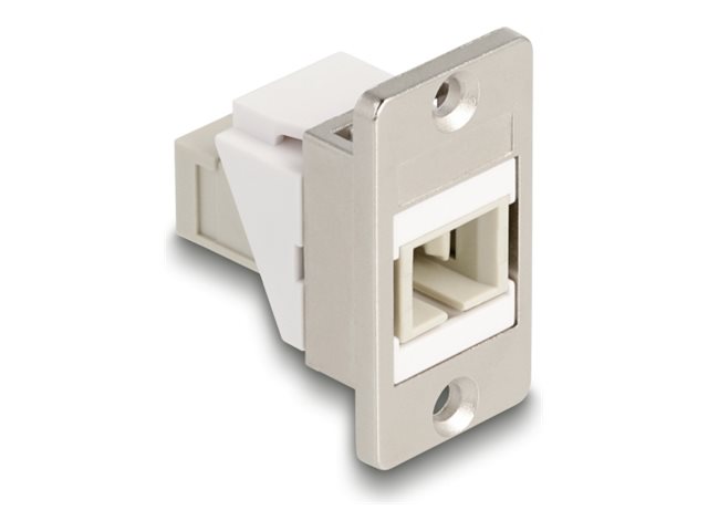 Delock - Modular Indlæg - Panelmonterbar - Sc - Hvid, Beige, Sølv