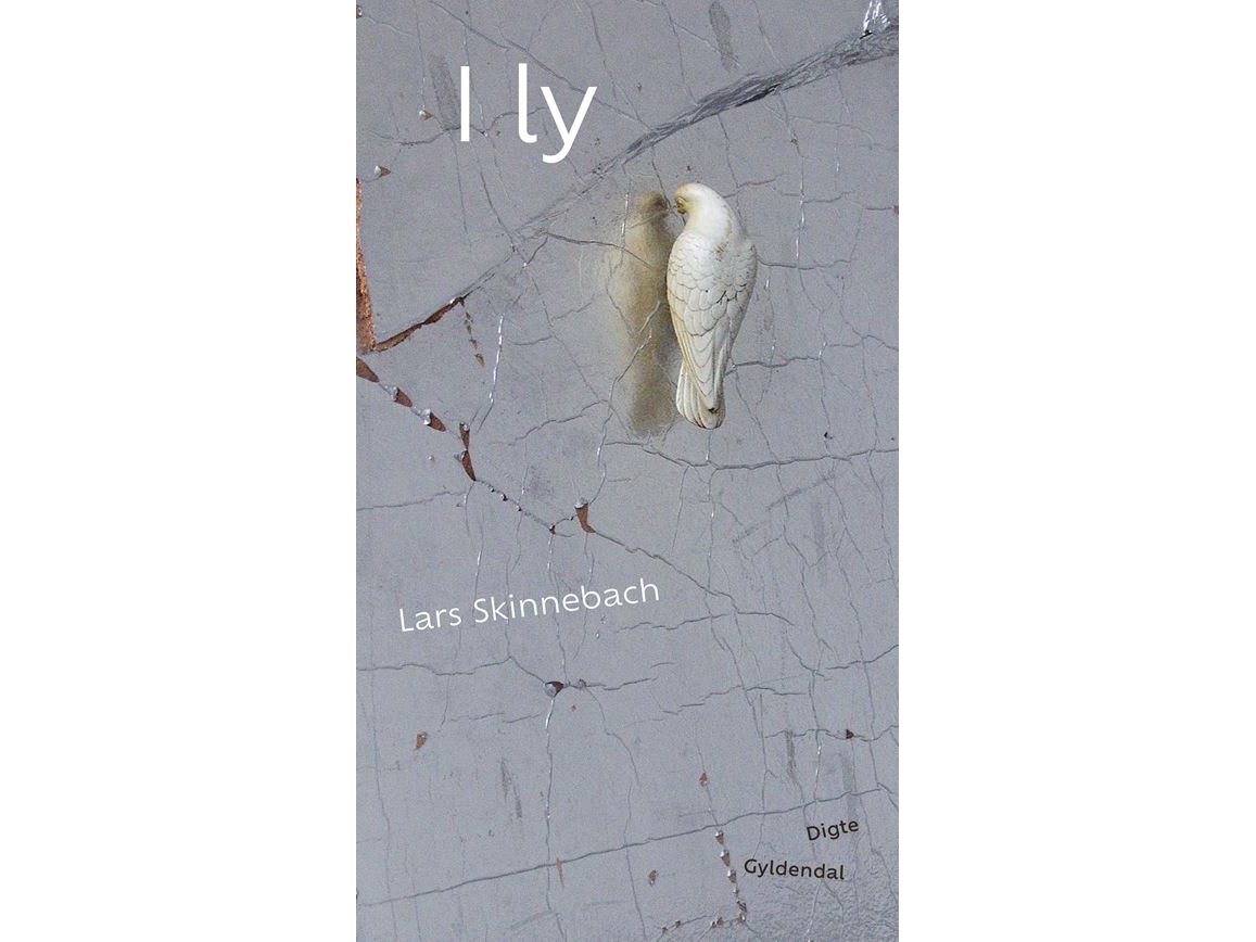 In ly | Lars Skinnebach | Kieli: Tanska