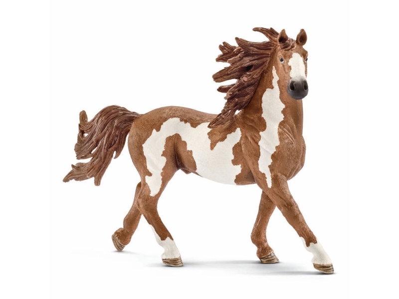 Slh Pinto Stallion 13794 12403
