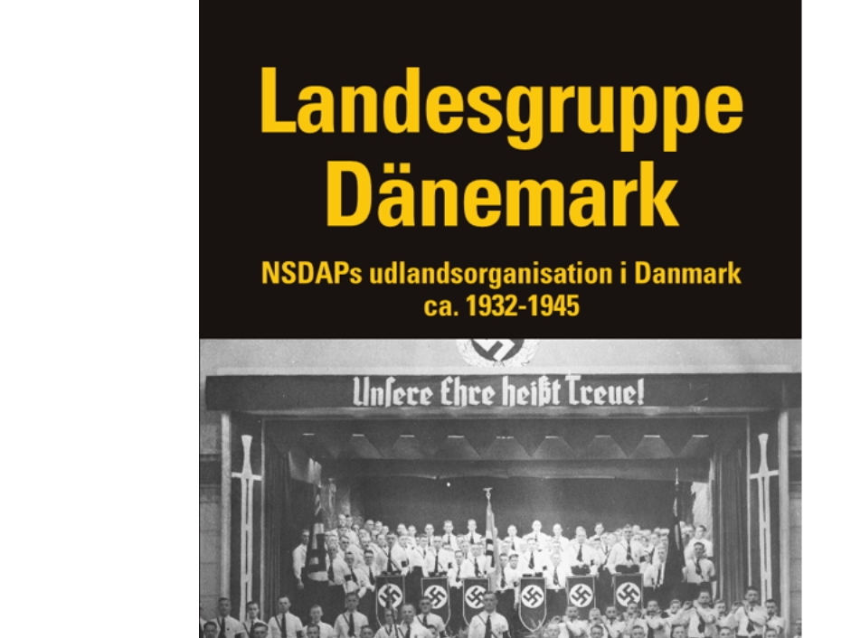 Dänemark Kapitel | Ole Brandenborg Jensen | Sprache: Dänish