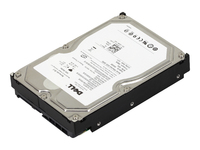 Dell - Hårddisk - 750 GB - inbyggd - 3.5 - SATA 3Gb/s - 7200 rpm - rekonditionerad - för PowerEdge R805, R905, T605 | Datorkomponenter - Hårddisk & Lagring - Interna hårddiskar | GameStuff