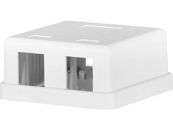Efb-Elektronik Keystone Anschlussbox, 2Port, Aufputz, Reinweiss, Ohne Modul Hersteller: Efb Elektronik (Ec020400004)