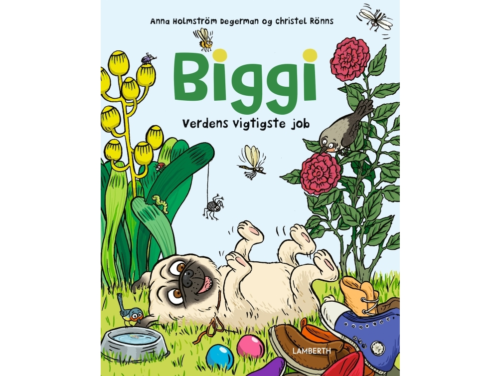 Biggi - Der Wichtigste Job Der Welt | Anna Holmström Degermann | Sprache: Dänish