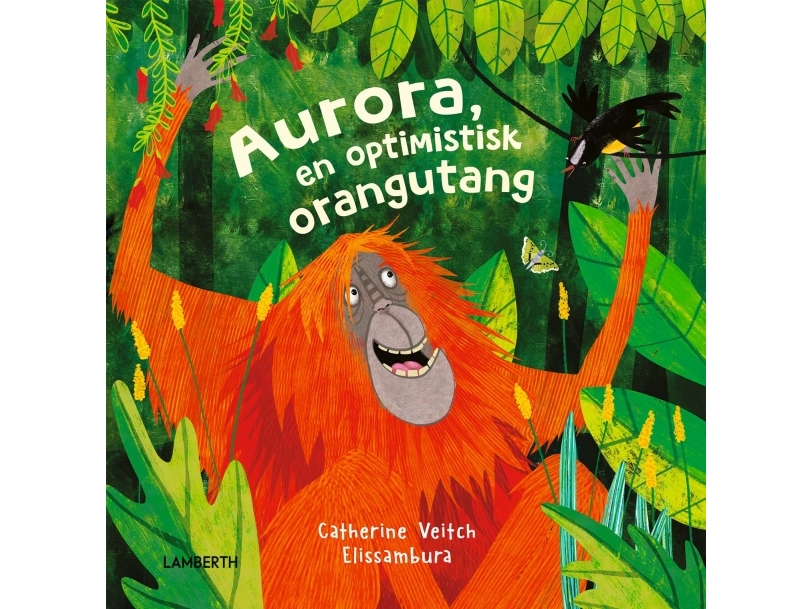 Aurora, En Optimistisk Orangutang | Catherine Veitch | Sprache: Dänish