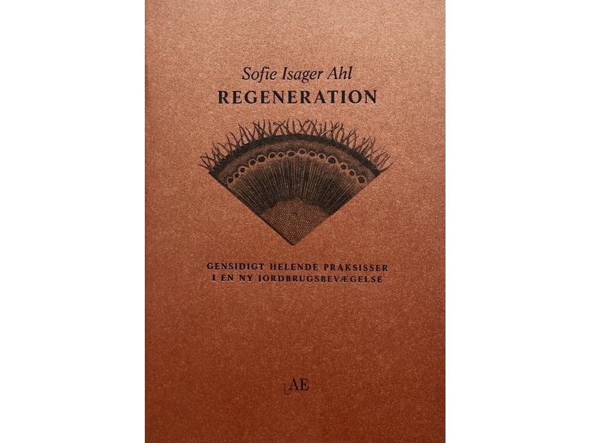 Regeneration | Sofie Isager Ahl