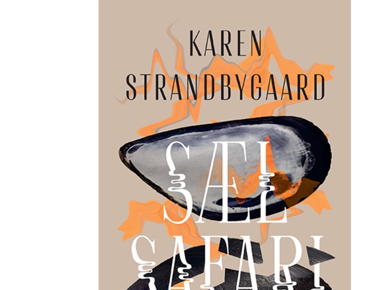 Robbensafari | Karen Strandbygaard | Sprache: Dänish