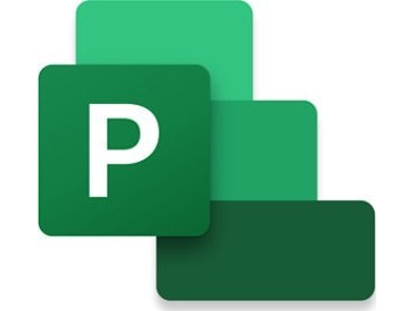 Program Microsoft Ms Project 2024 Professional Esd
