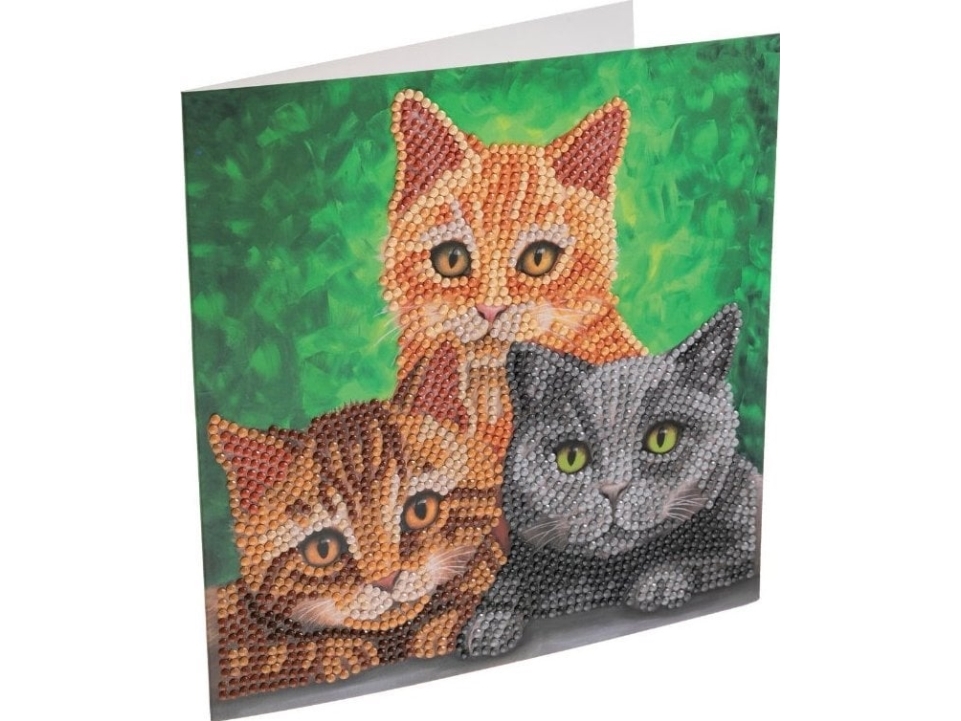 Cats, 18x18cm Crystal Art Card | N - A | GameStuff
