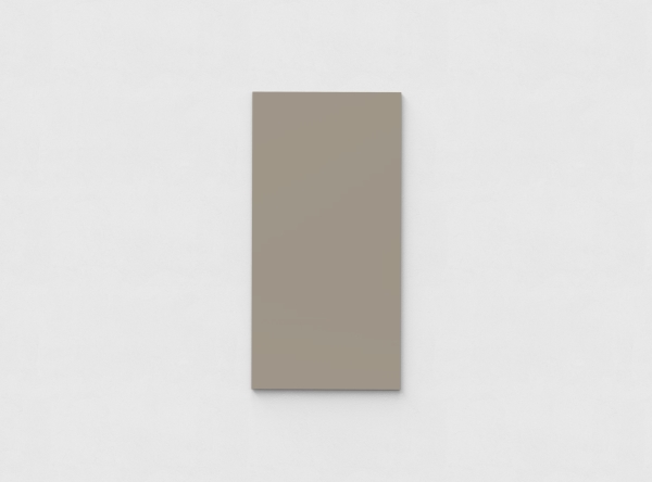 Mood Wall Glastavle 750X1500 Mm