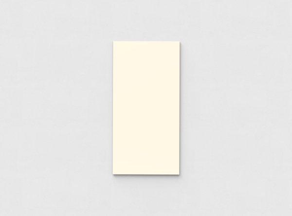 Mood Wall Glastavle 750X1500 Mm