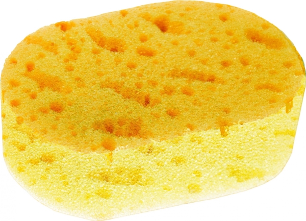 Inter vion bade- og massagesvamp til store porer