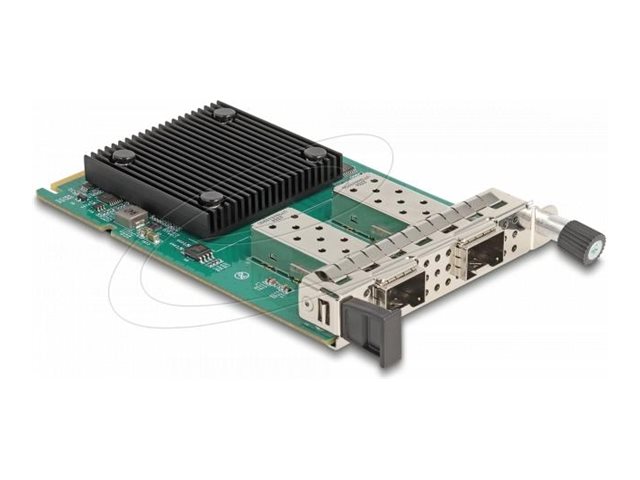 Delock Ocp 3.0 Karte Zu 2 X Sfp+ 10 Gigabit Lan (88386)