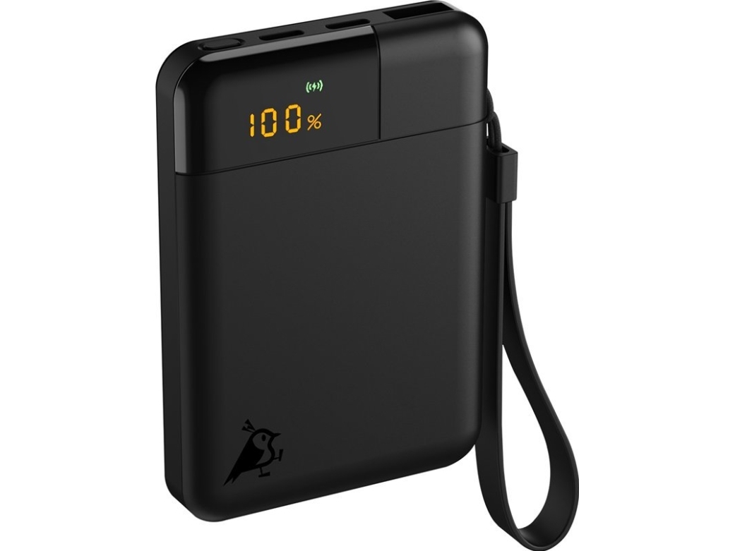 Aqiila Powerbird B5 Powerbank 12W Schwarz 5.000 Mah (Aqpbpbib5bbk935)