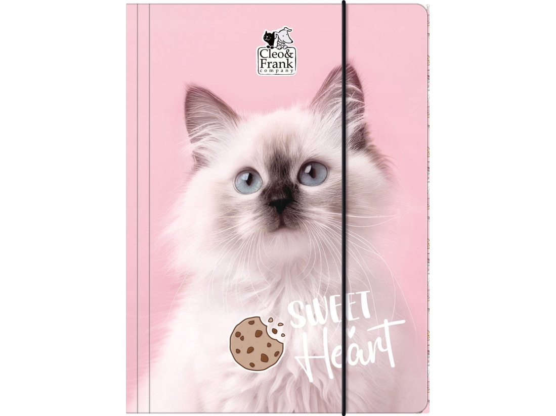 MAPPE MED VISKELÆDER PAP A4 CLEO I FRANK 45 DERF 1/10