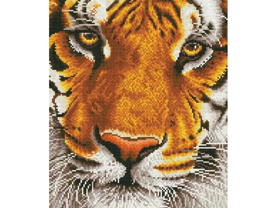 Diamond Dotz Diamond Dotz Adults Bengal Magic