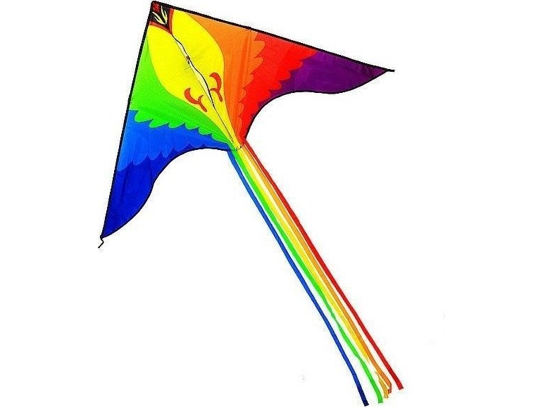 Kite