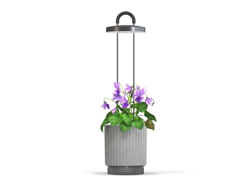 Click And Grow Click &amp Grow HydroVase krukväxtvårdssats med LED-ljus, självvattnande och automatisk timer - grå | Foto och video - Videoövervakning - Övervakningsutrustning | GameStuff