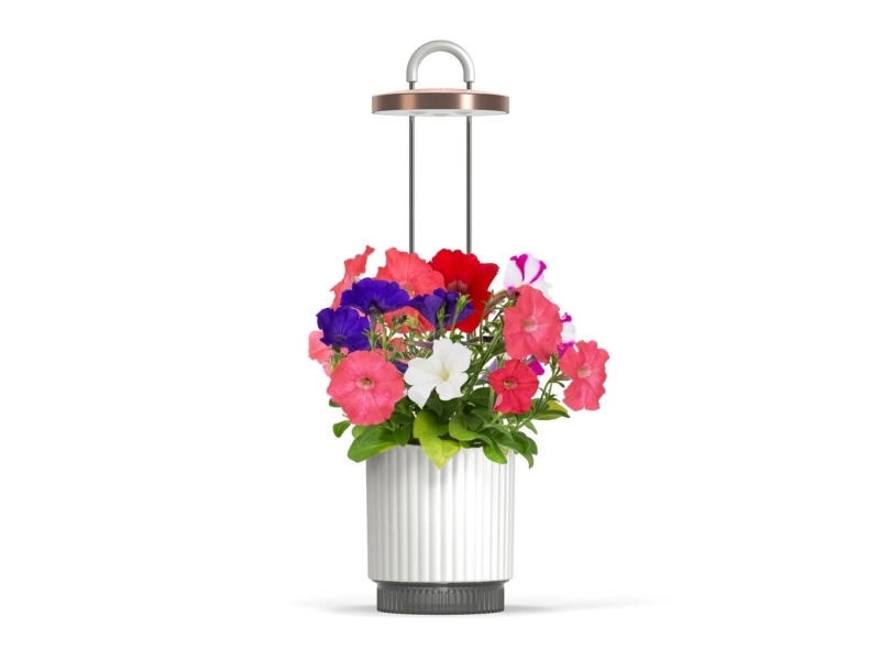 Click And Grow Hydrovase - White