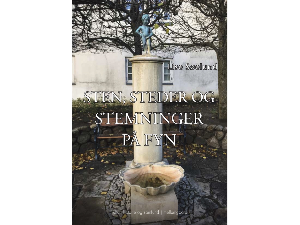Sten, Steder Og Stemninger På Fyn | Lise Søelund