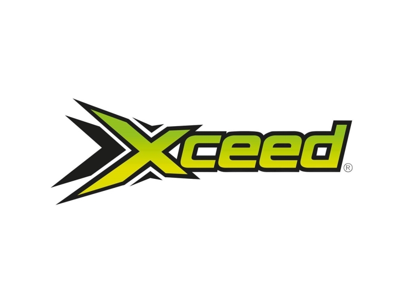 XCeed 1:10 Karrosseri-beslag Guld 1 stk