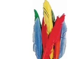 Fjer - L 12-15 Cm - Forskellige Farver - 350 Stk.