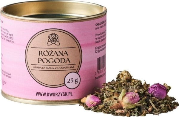 Dwororsk Dwororsk - Rosenwetter - Loser Tee 25G