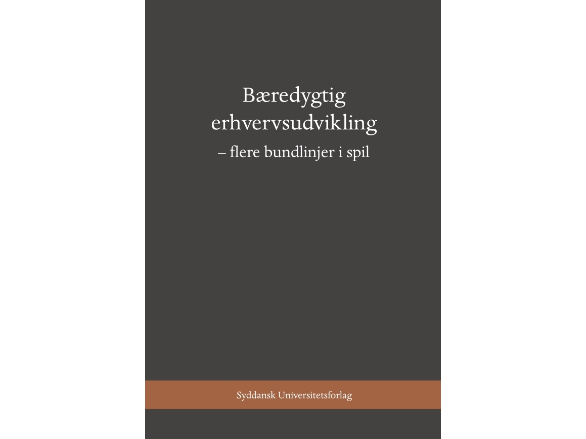 Bæredygtig Erhvervsudvikling | Majbritt R. Evald, Per V. Freytag, Mads Bruun Ingstrup
