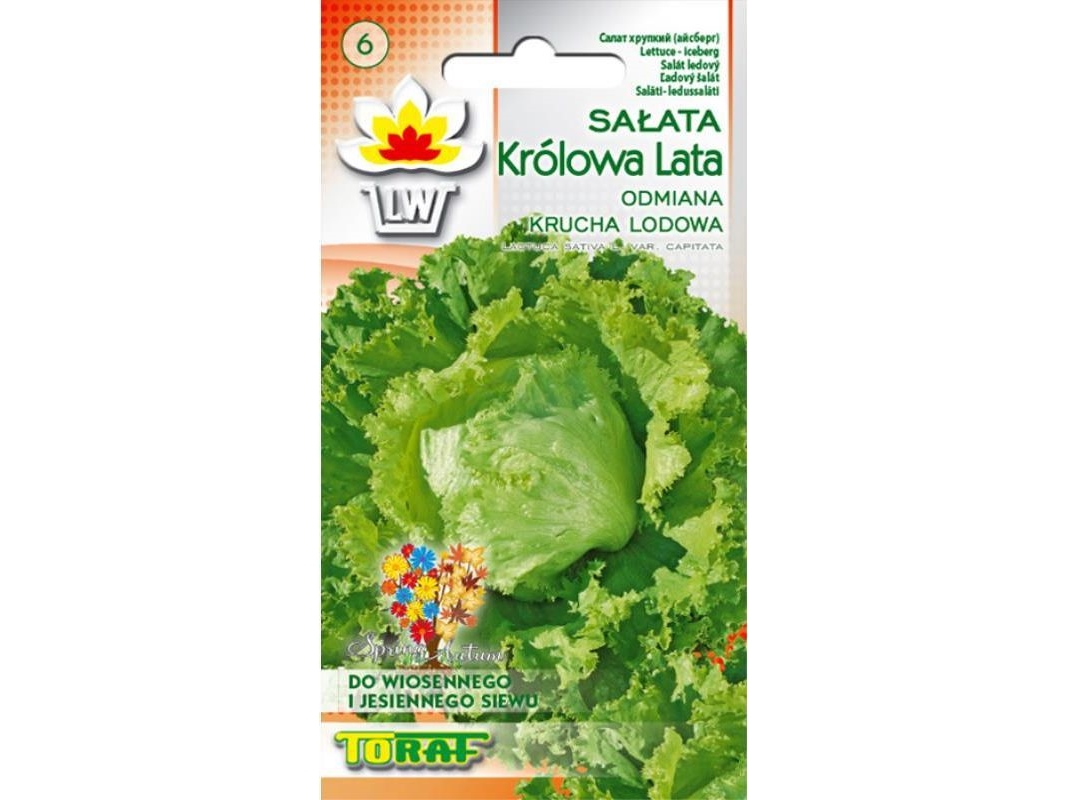 Toraf TORAF VEGETABLES Dronning af sommersalatfrø 1g