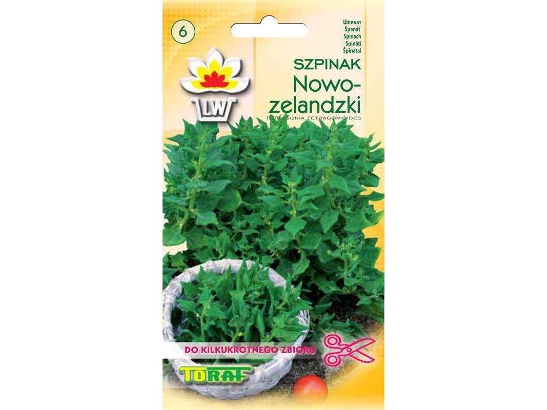 Toraf TORAF WARZYWA Spinat - newzealandske frø 5 g