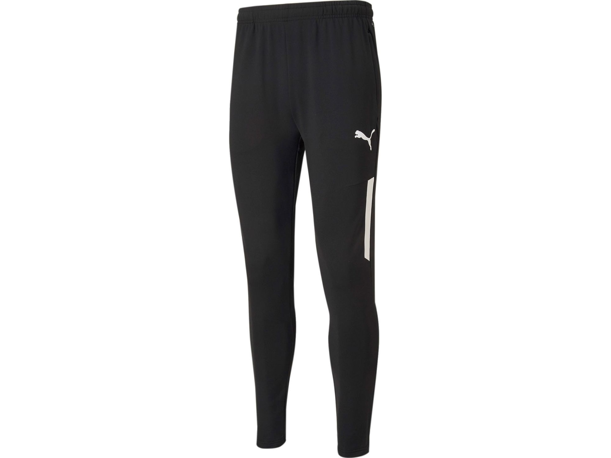 Puma Spodnie Teamliga Training Pro 03 R. M