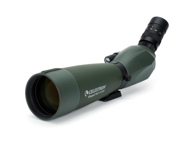 Celestron Regal M2 - Observationsfelt 20-60 X 80 - Vandtæt - Grøn