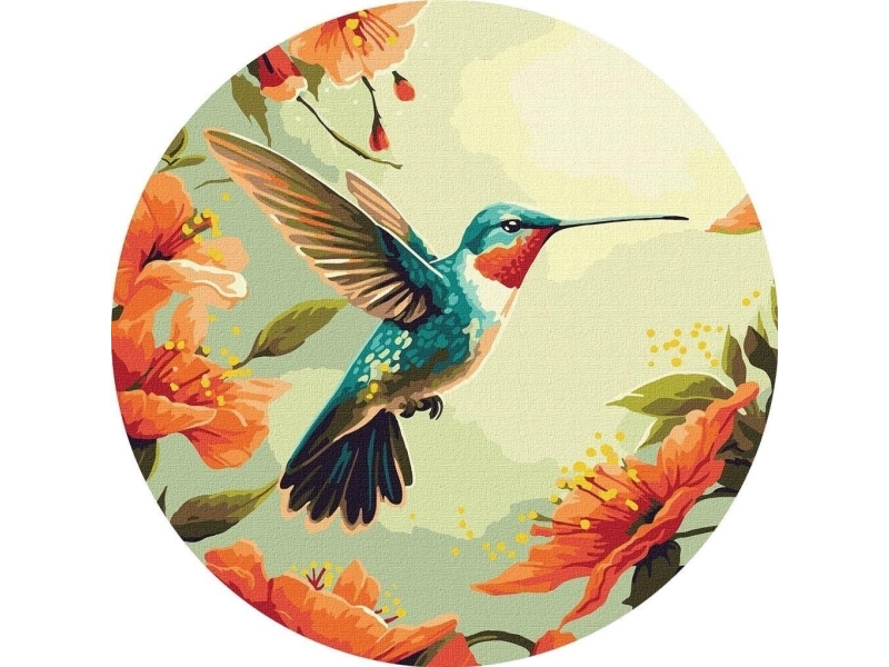 Painting by numbers - Colorful hummingbird d39cm