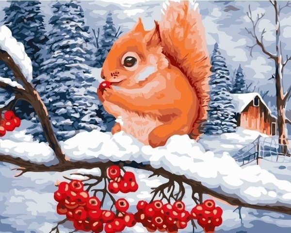 Painting By Numbers 40X50 Squirrel