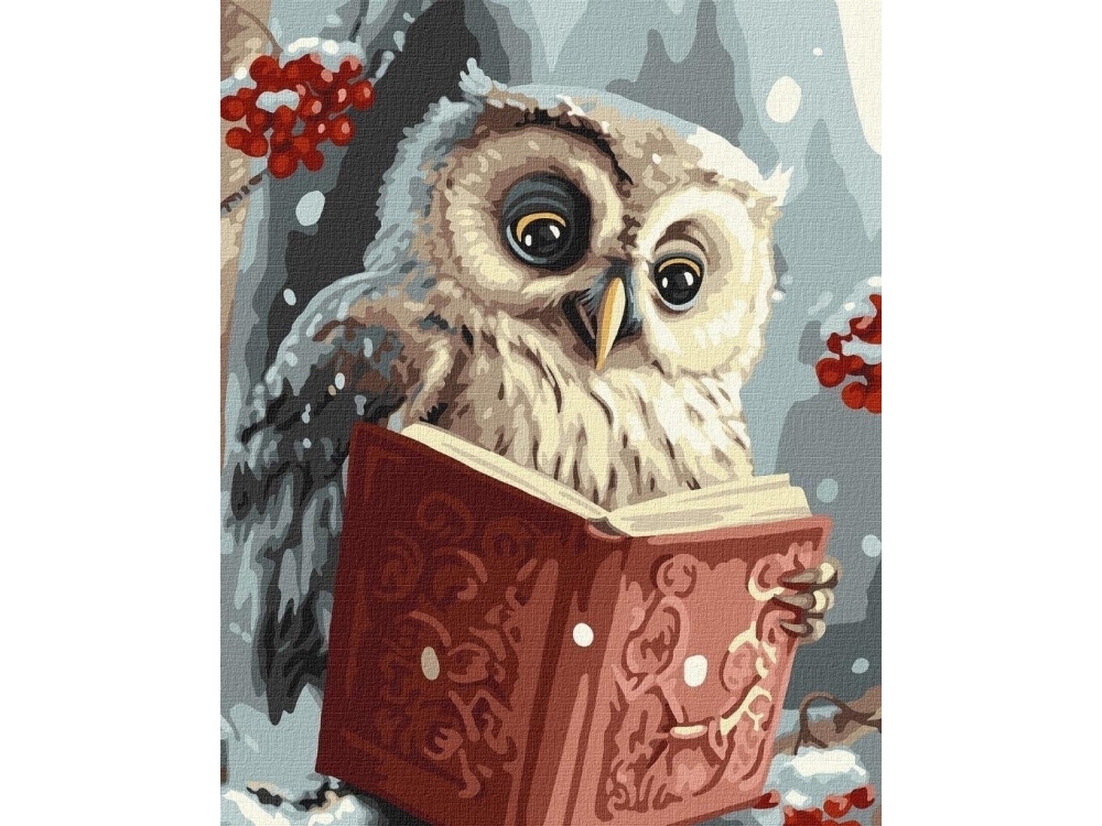 Painting By Numbers - Clever Owl 40X50cm