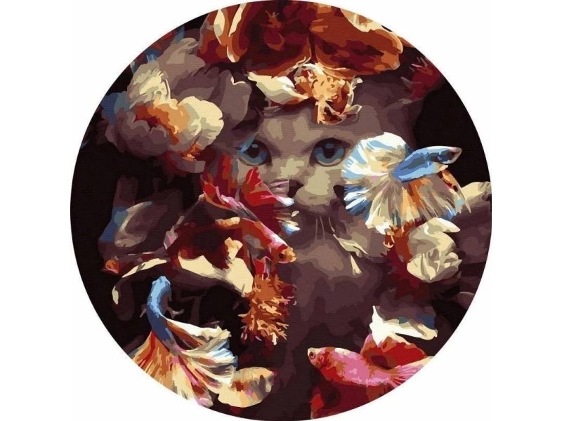 Painting by numbers round - Cat in fish 40cm | Skola & Hobby - Konstmaterial - Dukar | GameStuff
