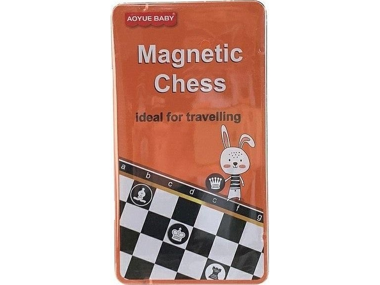 Magnetic Chess