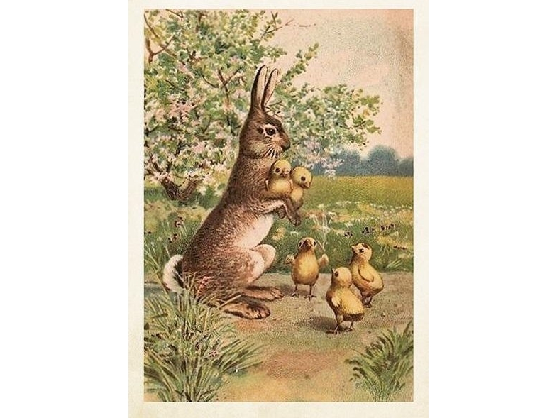 ST450 B6 carnet + kuvert påskehare EDUKAMP