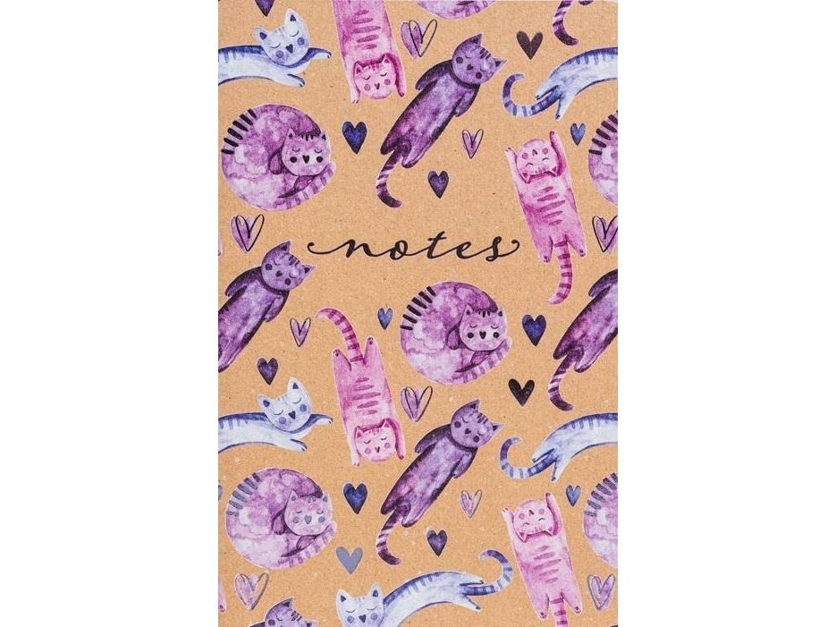 Notes Cats 02
