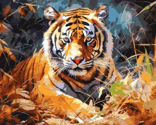 Mal efter tal 40x50 Tiger