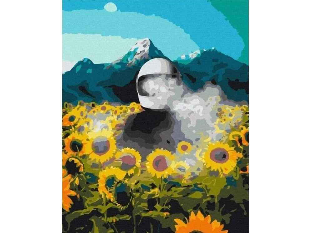 Maler efter tal - Space Earth 40x50 cm