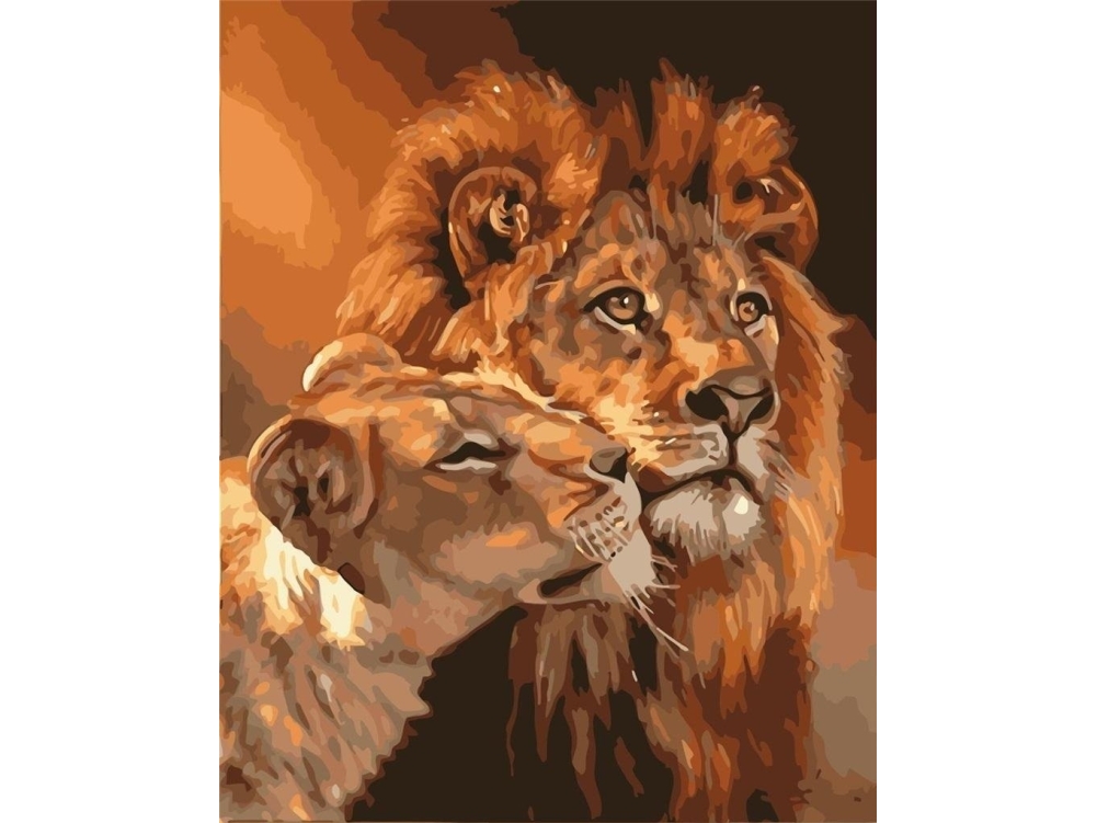 Maalaus numeroiden mukaan - 40x50cm Leijonat