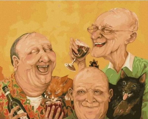 Painting By Numbers - Old Friends 40X50cm