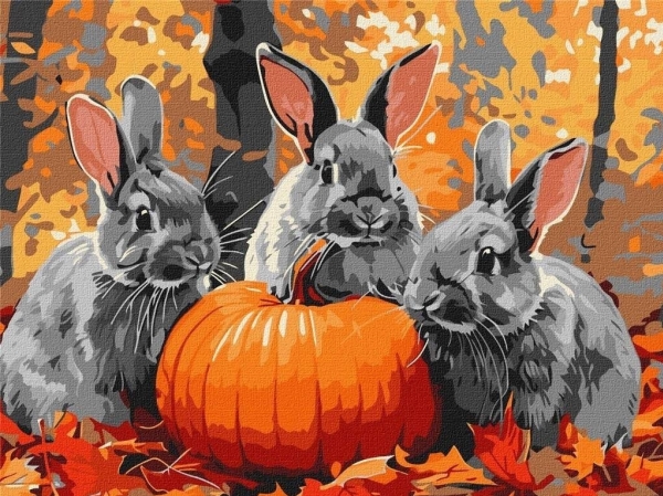 Painting by numbers - Adventures with a rabbit 30x40