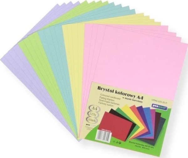 Pap i karton A4 farverig mix pastelfarver 20 stk.