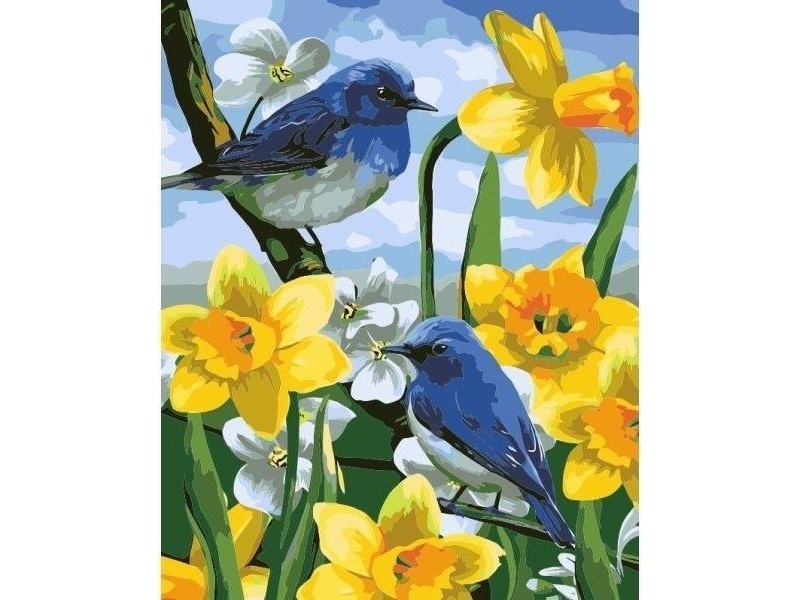 Maalaus numeroiden mukaan - 40x50cm Linnut narsissilla